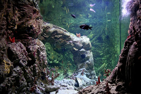 Aquarium de Santa Pola