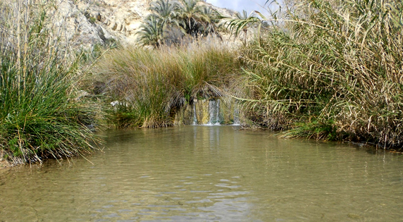 Chícamo River
