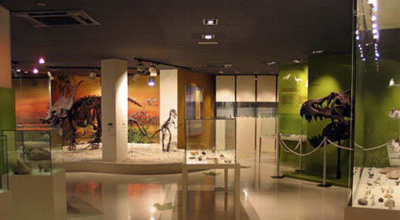 Paleontological Museum of Elche