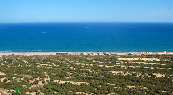 Playa Els Vivers en Guardamar